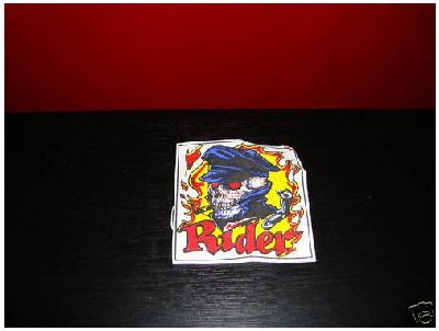 skull_2.JPG
