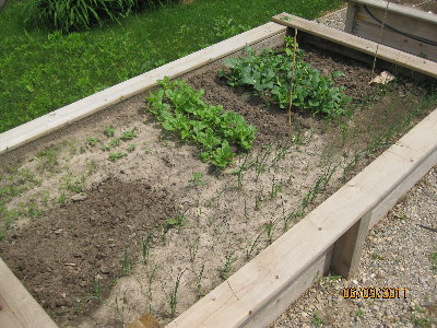 West Raised Bed.JPG