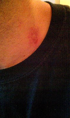 IMAG0085.jpg