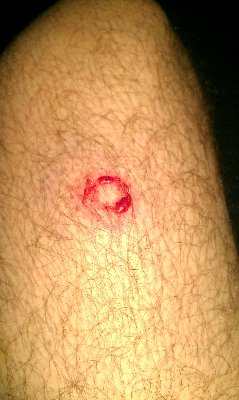IMAG0131.jpg