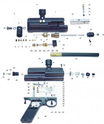 Blazer-Diagram (1).jpg